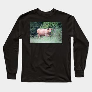 Brown Cow Nibbling On Wildflowers Long Sleeve T-Shirt